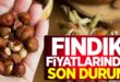 Samsun’da Güncel Fındık Fiyatları